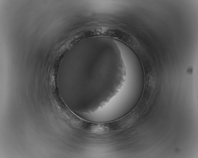 X0000113550754200910021530