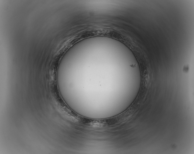 X0000113550756200910021530