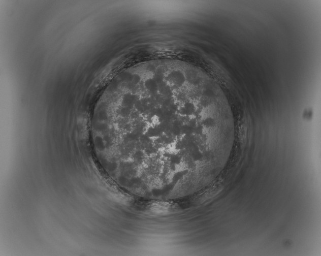 X0000113550757200910021530