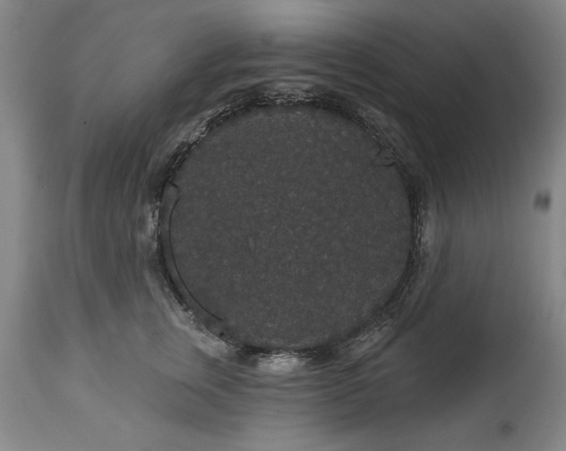 X0000113550759200910021530