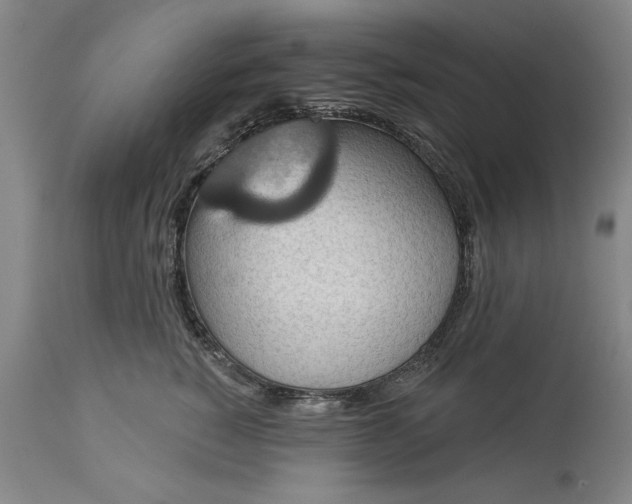 X0000113550760200910021530