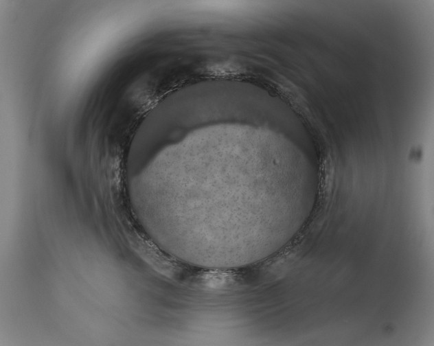 X0000113550762200910021530