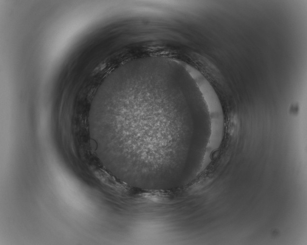 X0000113550763200910021530