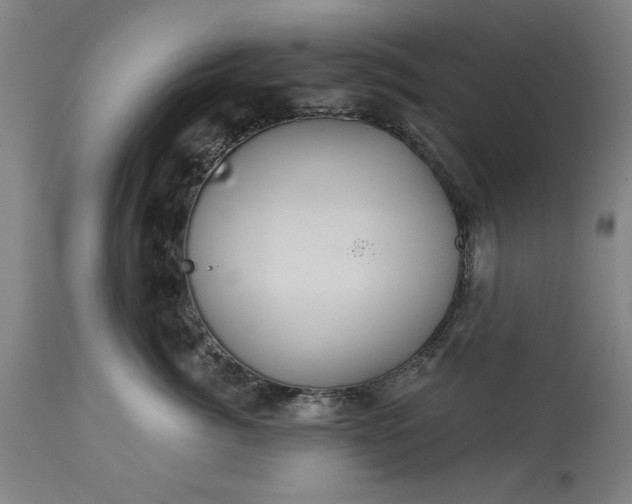 X0000113550764200910021530