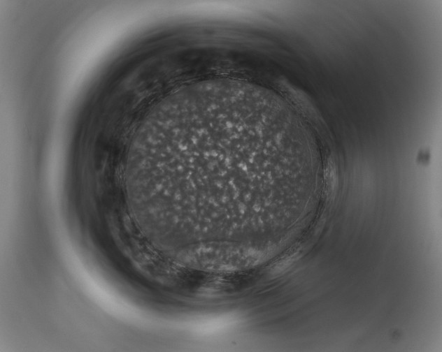 X0000113550765200910021530