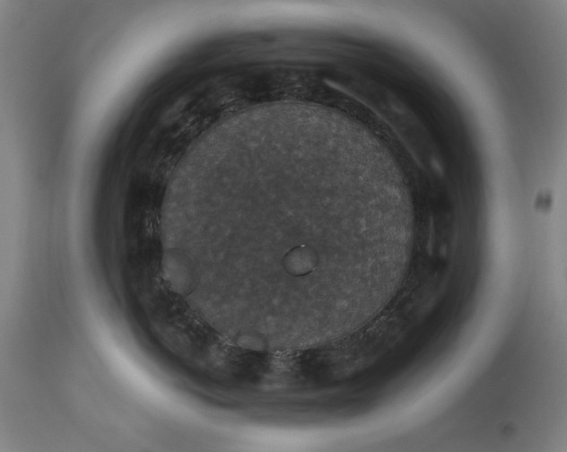 X0000113550766200910021530