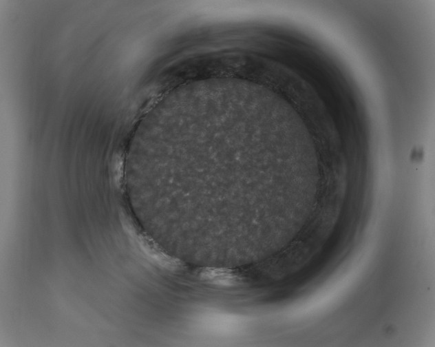 X0000113550767200910021530