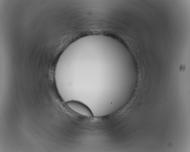 X0000113550768200910021530