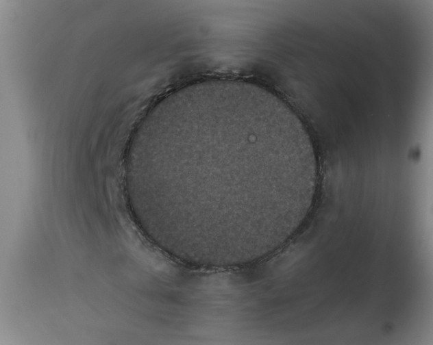 X0000113550769200910021529