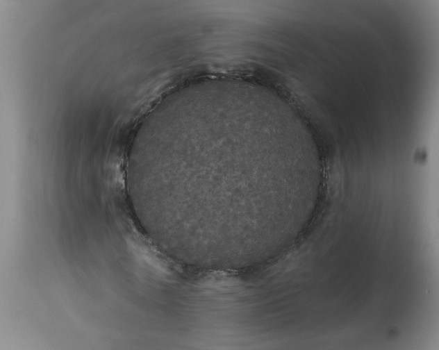 X0000113550770200910021529