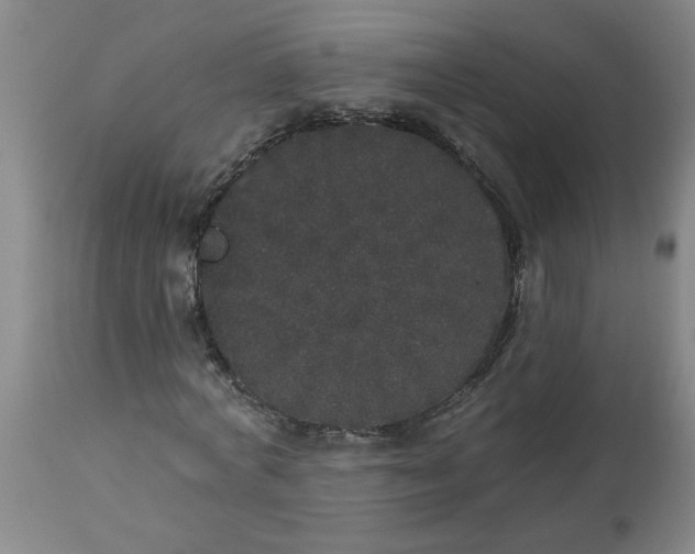 X0000113550772200910021529