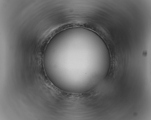 X0000113550773200910021529