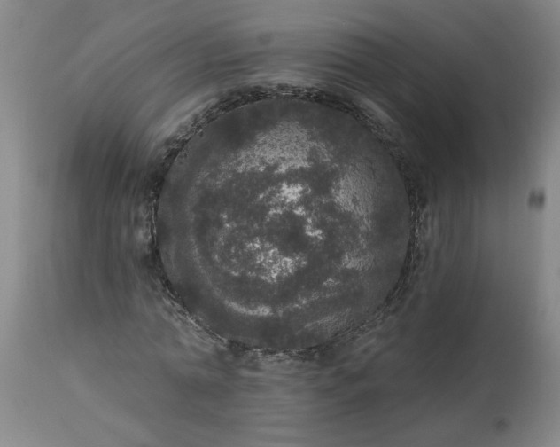 X0000113550774200910021529