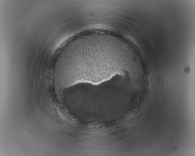 X0000113550775200910021529