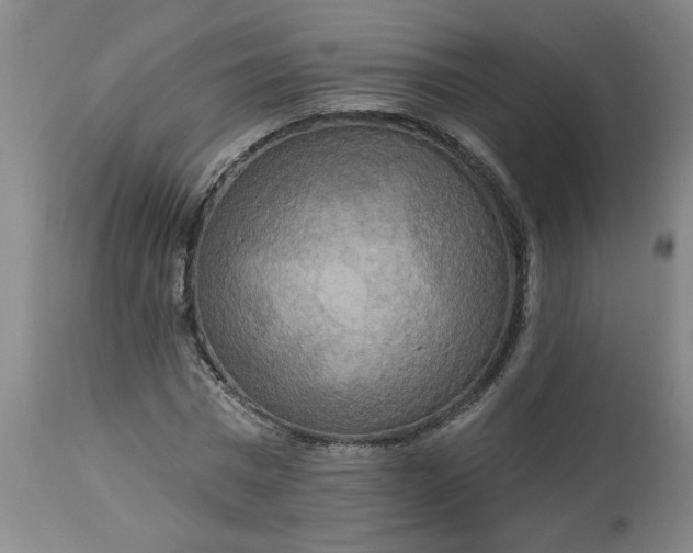 X0000113550777200910021529