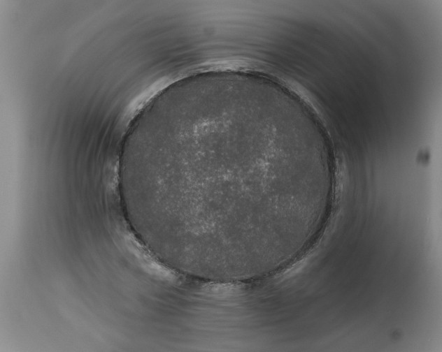 X0000113550778200910021529