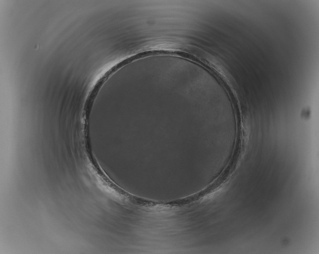 X0000113550779200910021529