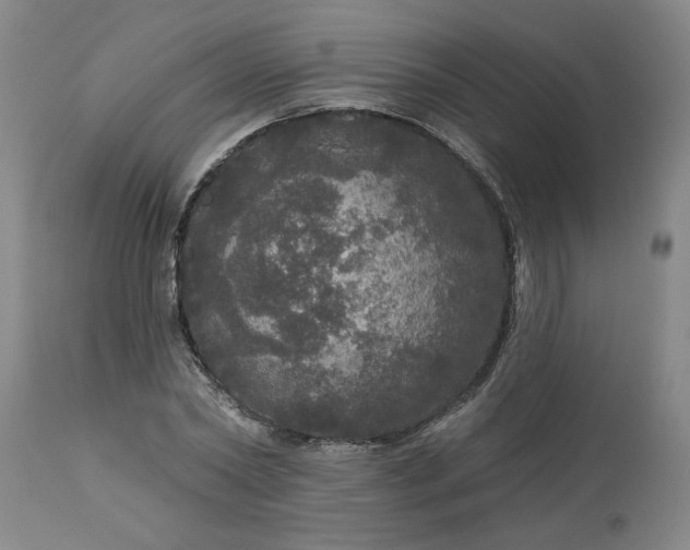 X0000113550782200910021529