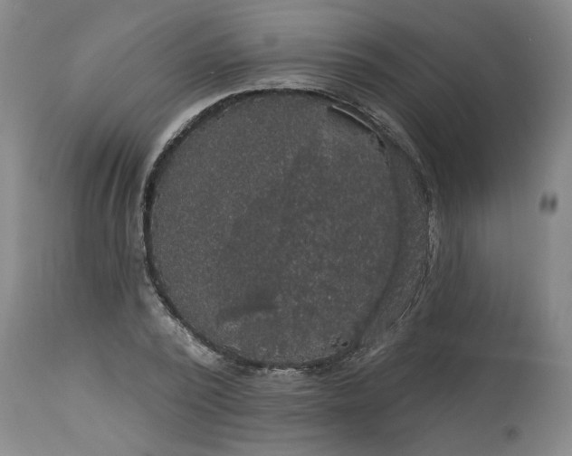 X0000113550784200910021529