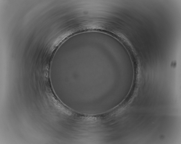 X0000113550785200910021529