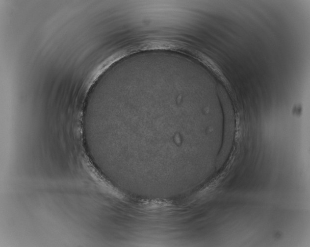 X0000113550786200910021529