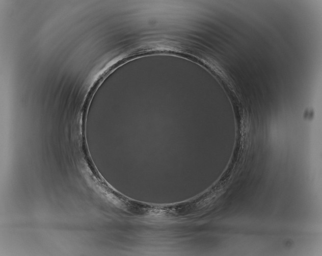 X0000113550790200910021529