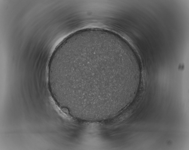 X0000113550791200910021529