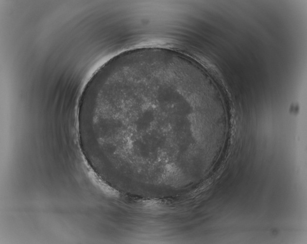 X0000113550792200910021529