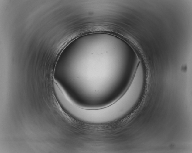 X0000113550793200910021529