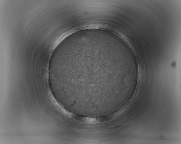 X0000113550794200910021529