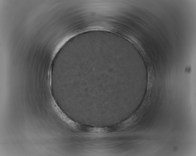 X0000113550796200910021529