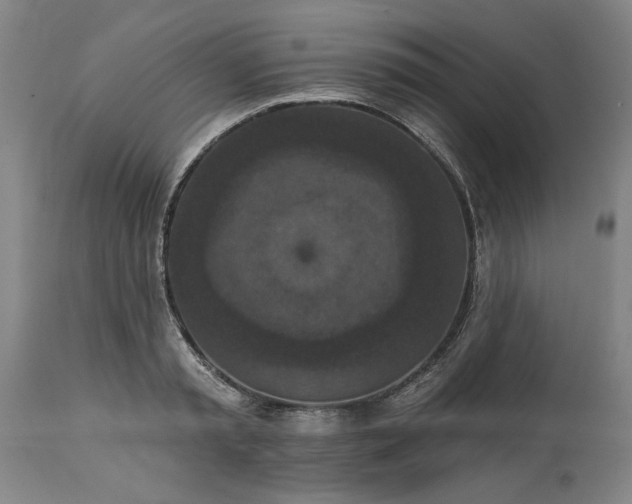 X0000113550797200910021529