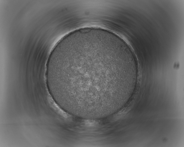 X0000113550799200910021529