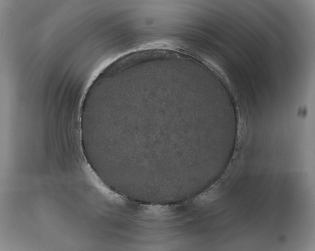 X0000113550800200910021529