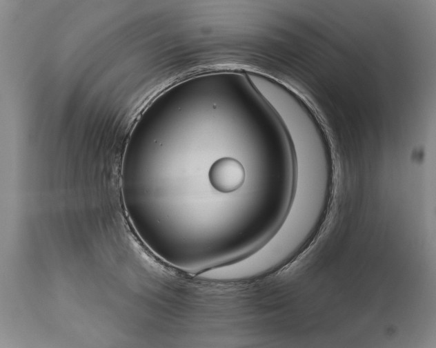 X0000113550801200910021529