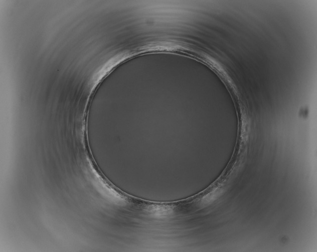 X0000113550802200910021529