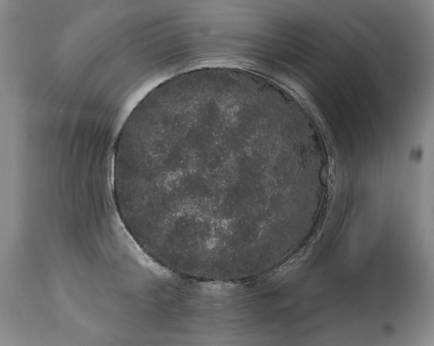 X0000113550804200910021529