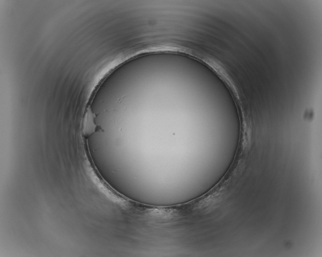 X0000113550805200910021529