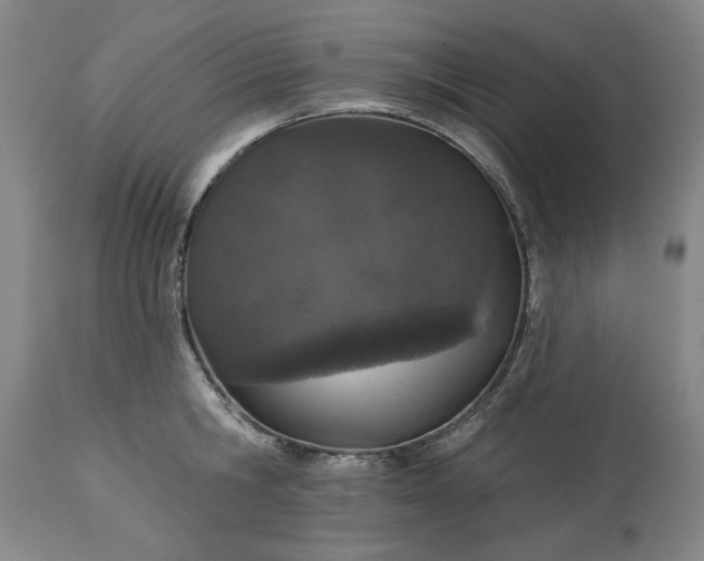 X0000113550806200910021529