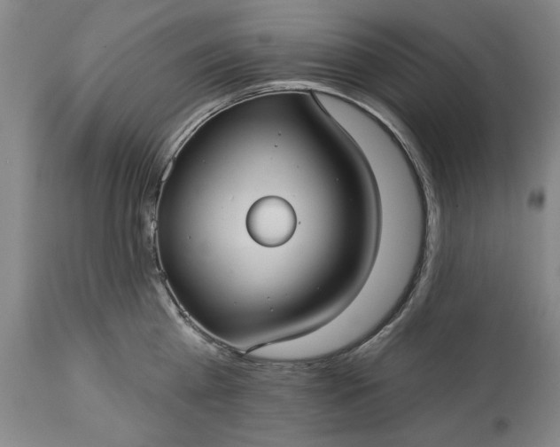 X0000113550809200910021529