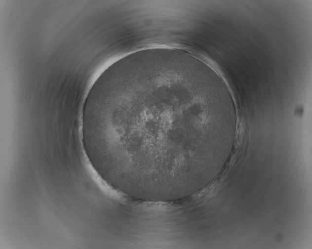 X0000113550811200910021529