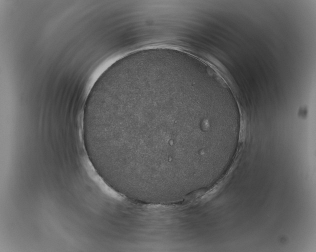 X0000113550812200910021529