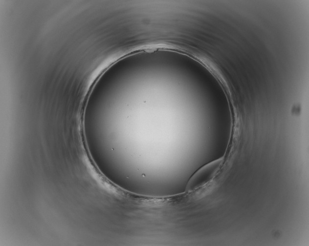 X0000113550813200910021529