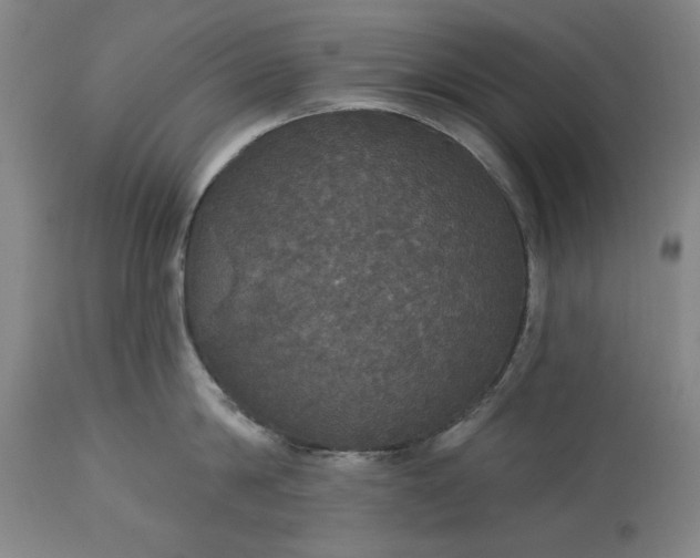 X0000113550814200910021529