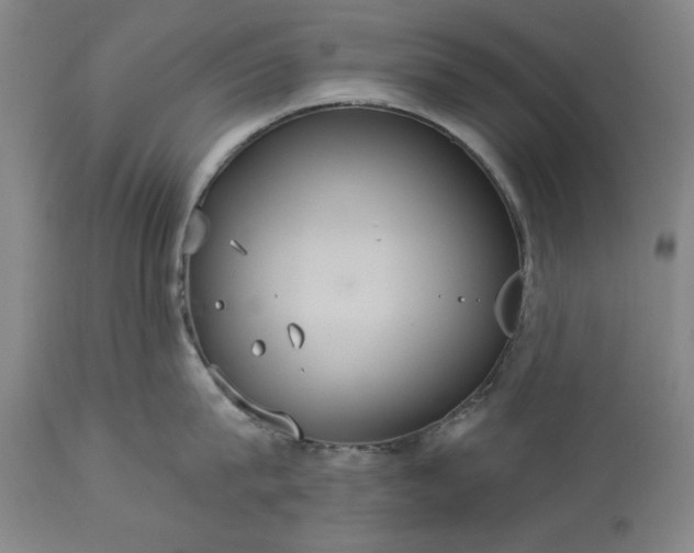 X0000113550815200910021529