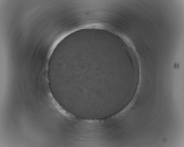 X0000113550816200910021529