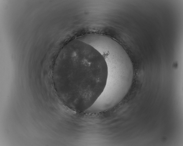 X0000113550817200910021528