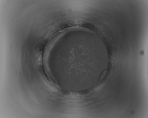 X0000113550818200910021528