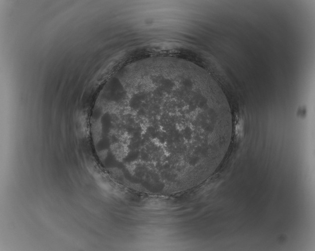 X0000113550819200910021528