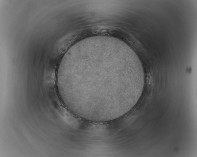 X0000113550820200910021528